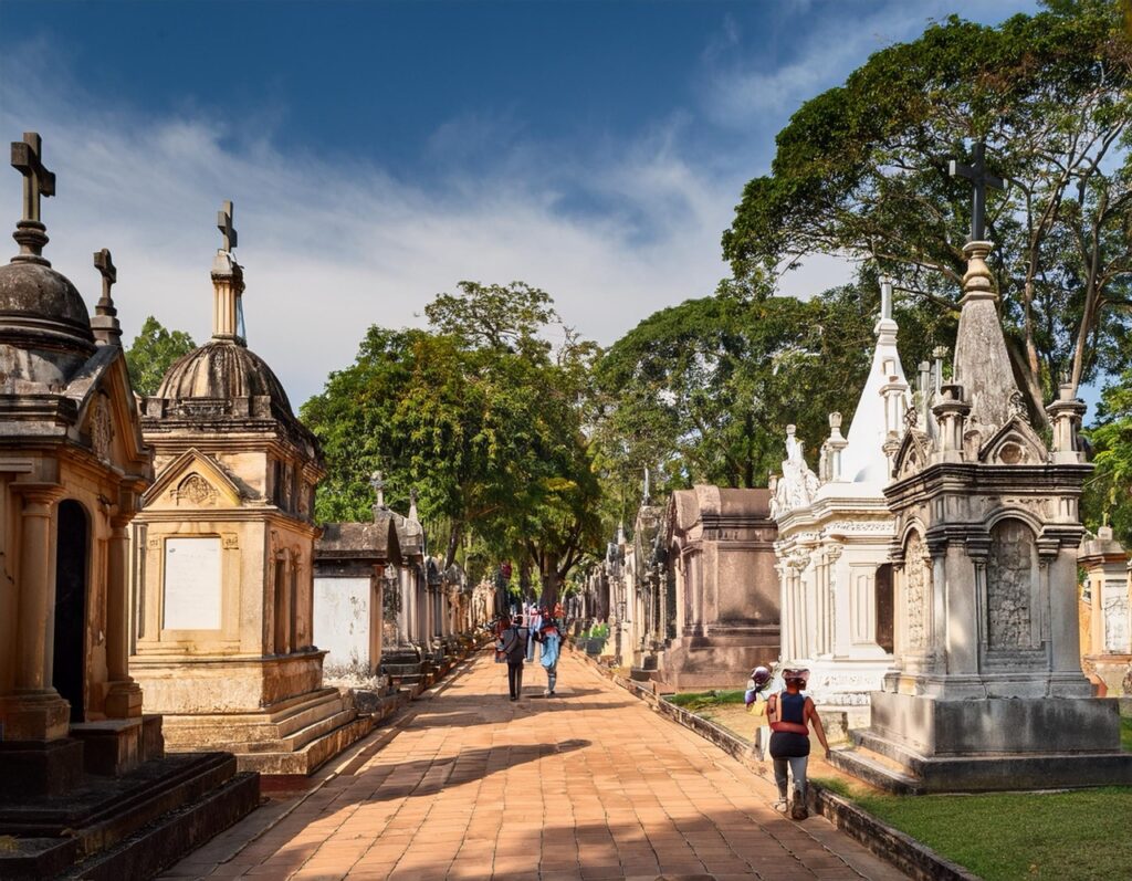 Firefly A historic cemetery with elaborately designed tombs and mausoleums surrounded by towering tr en tamaño grande